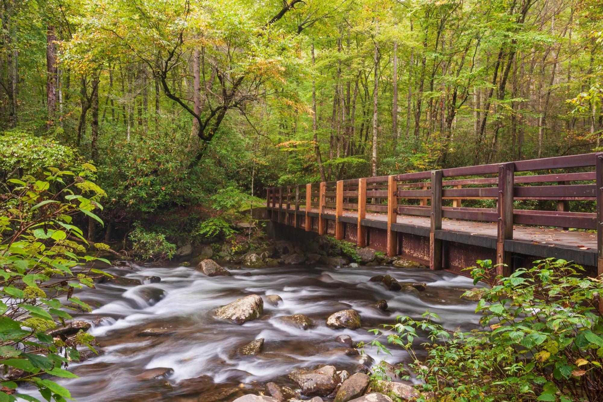 Laurel Cottage, 1089 Free Tickets Each Paid Day, Dollywood And More سيفيرفيل المظهر الخارجي الصورة